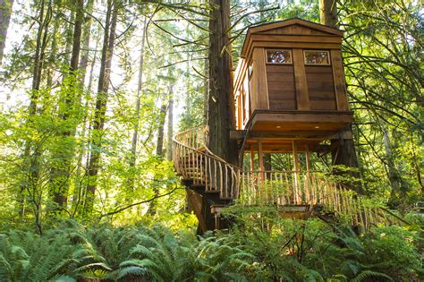 Rediscover Your Sense of Wonder in a Magical Woodland Tree House